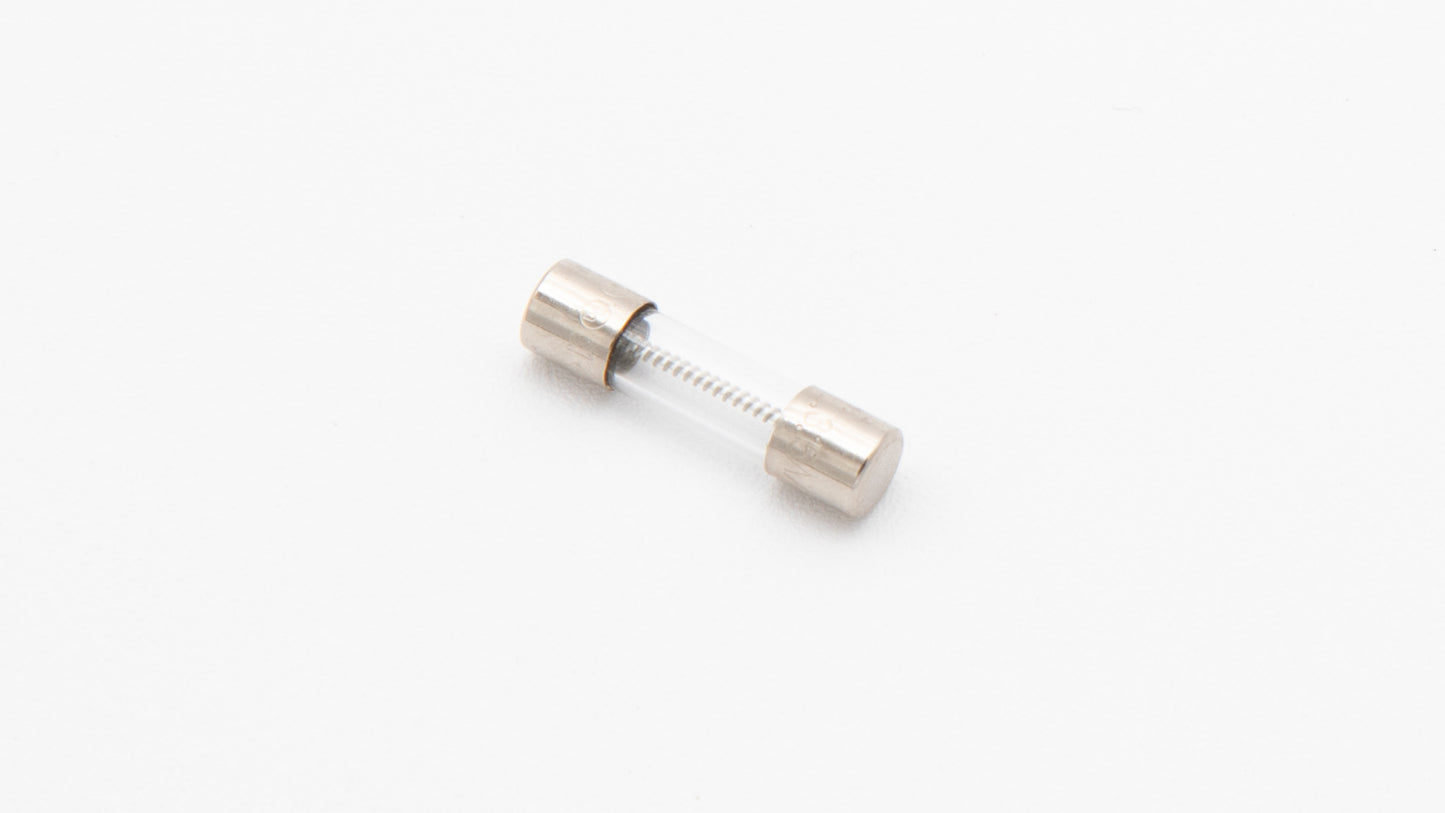 A small, shiny fuse displayed on a plain white background, showcasing its simple yet elegant design.
