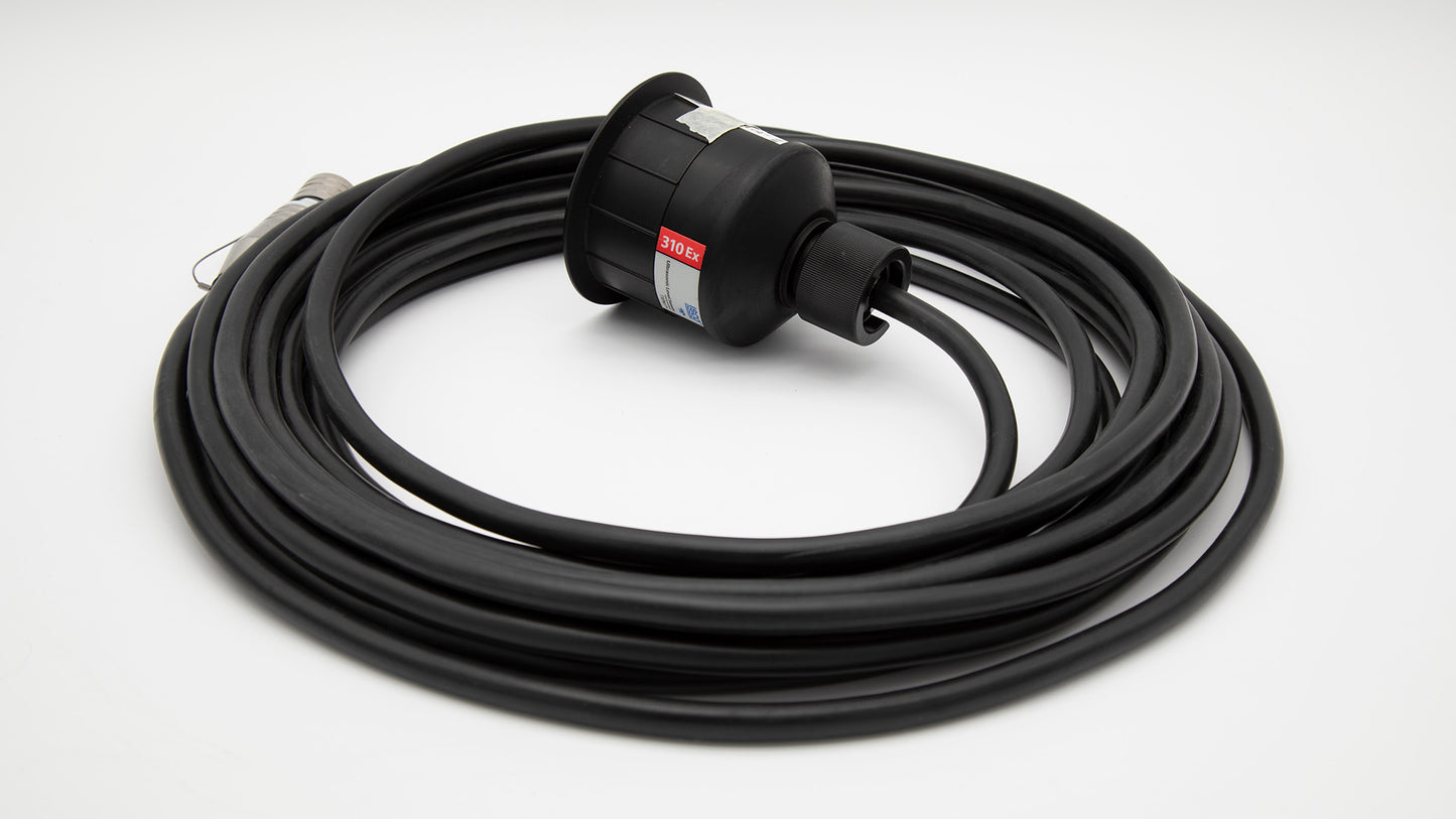 Cable with sensor on one end and connector on other end.