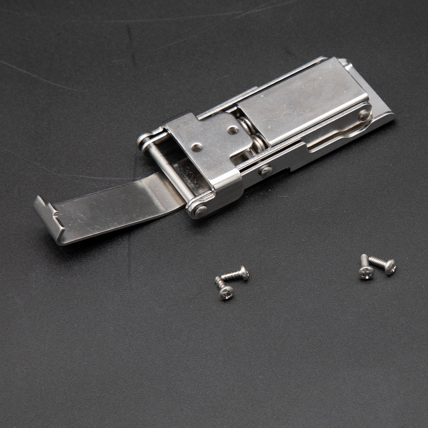 A close-up of a silver metal latch with screws displayed on a neutral surface.