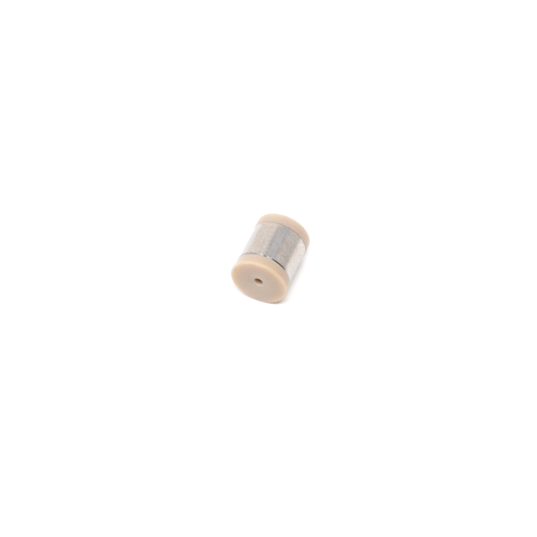 A cylindrical shaped check valve featuring a silver body.