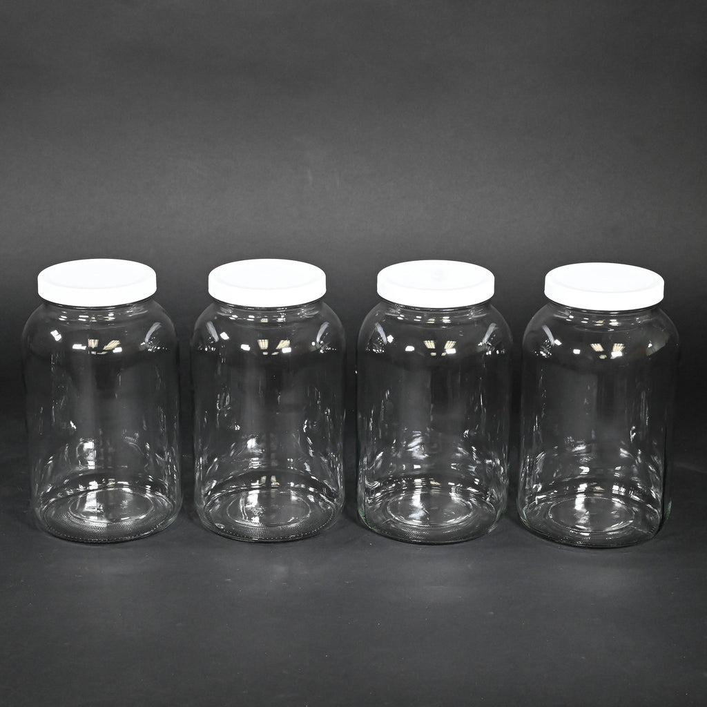 6- 1 liter glass bottles with caps