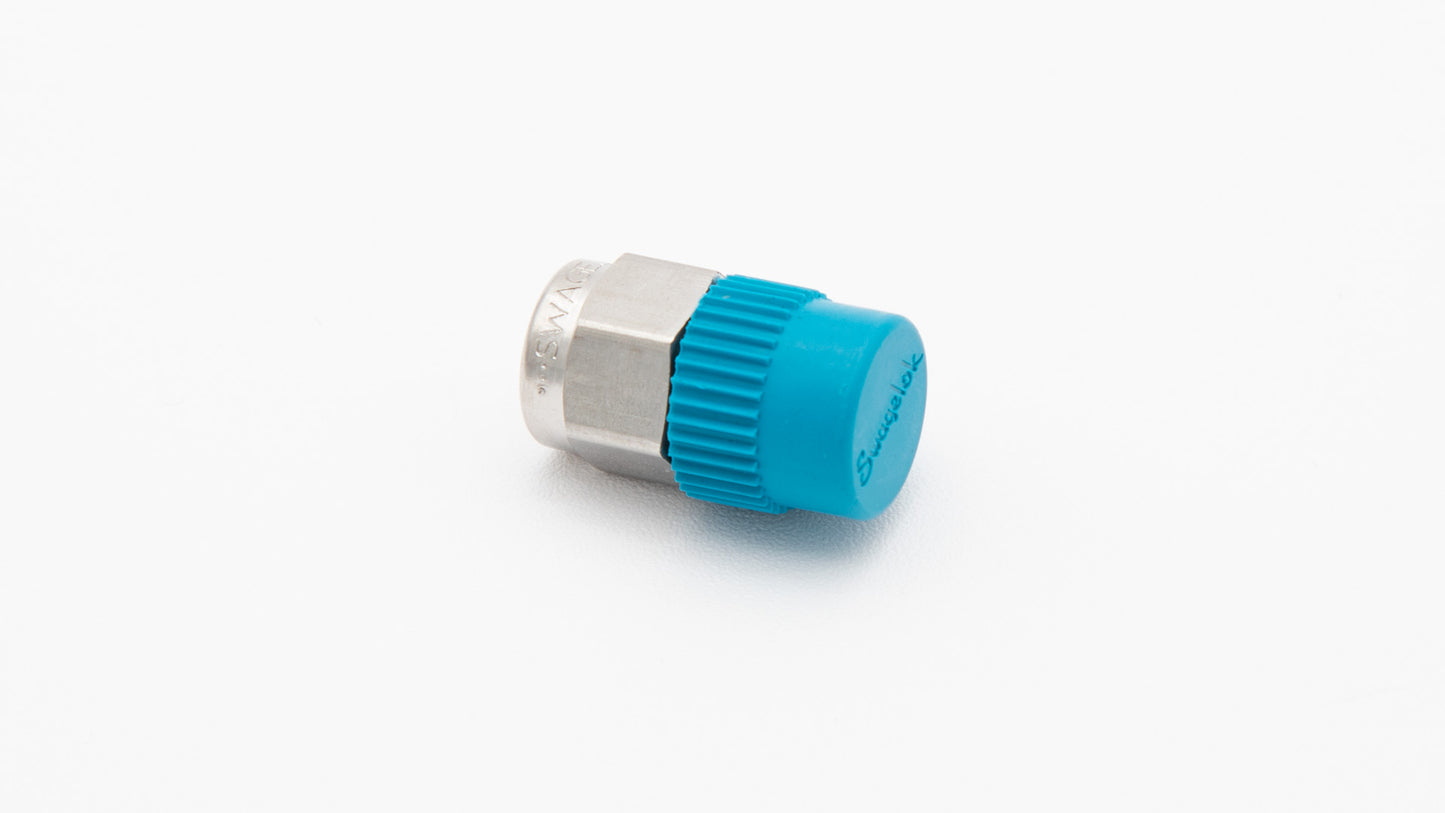 Stainless steel pipe plug with plastic cap
