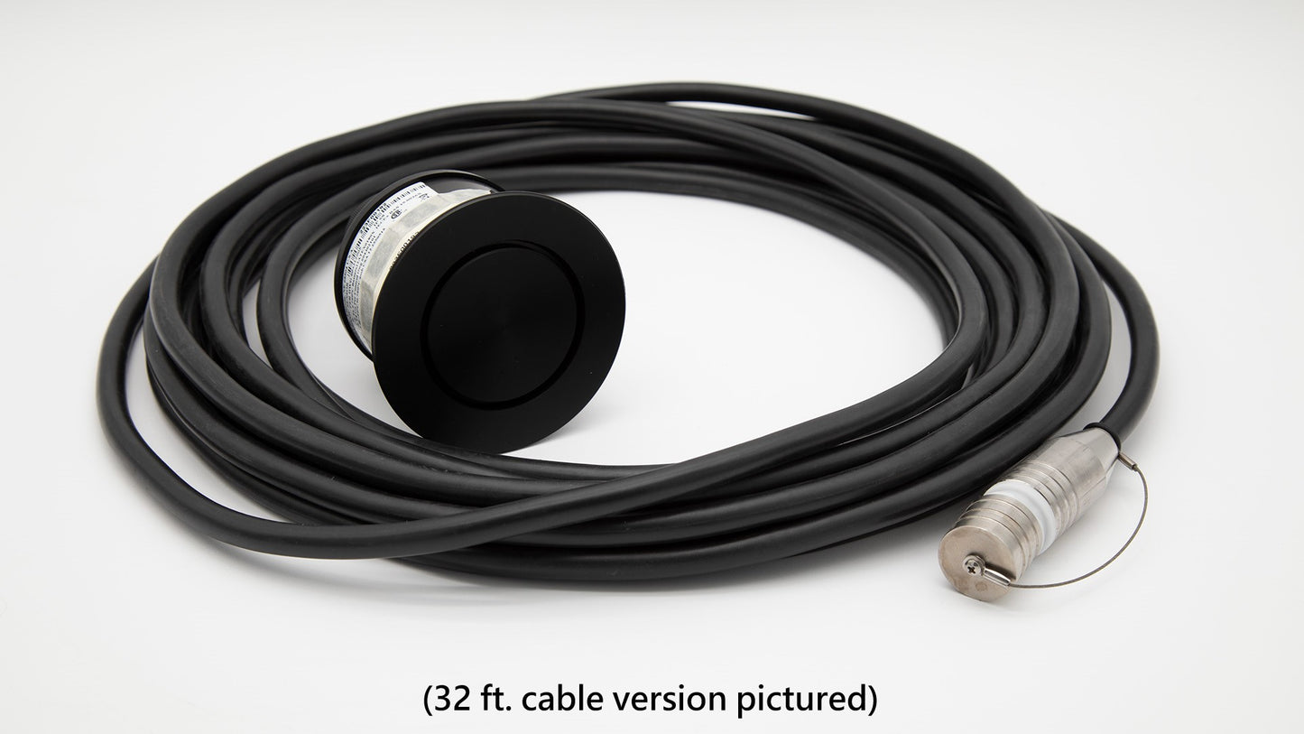 Cable with sensor on one end and connector on other end.