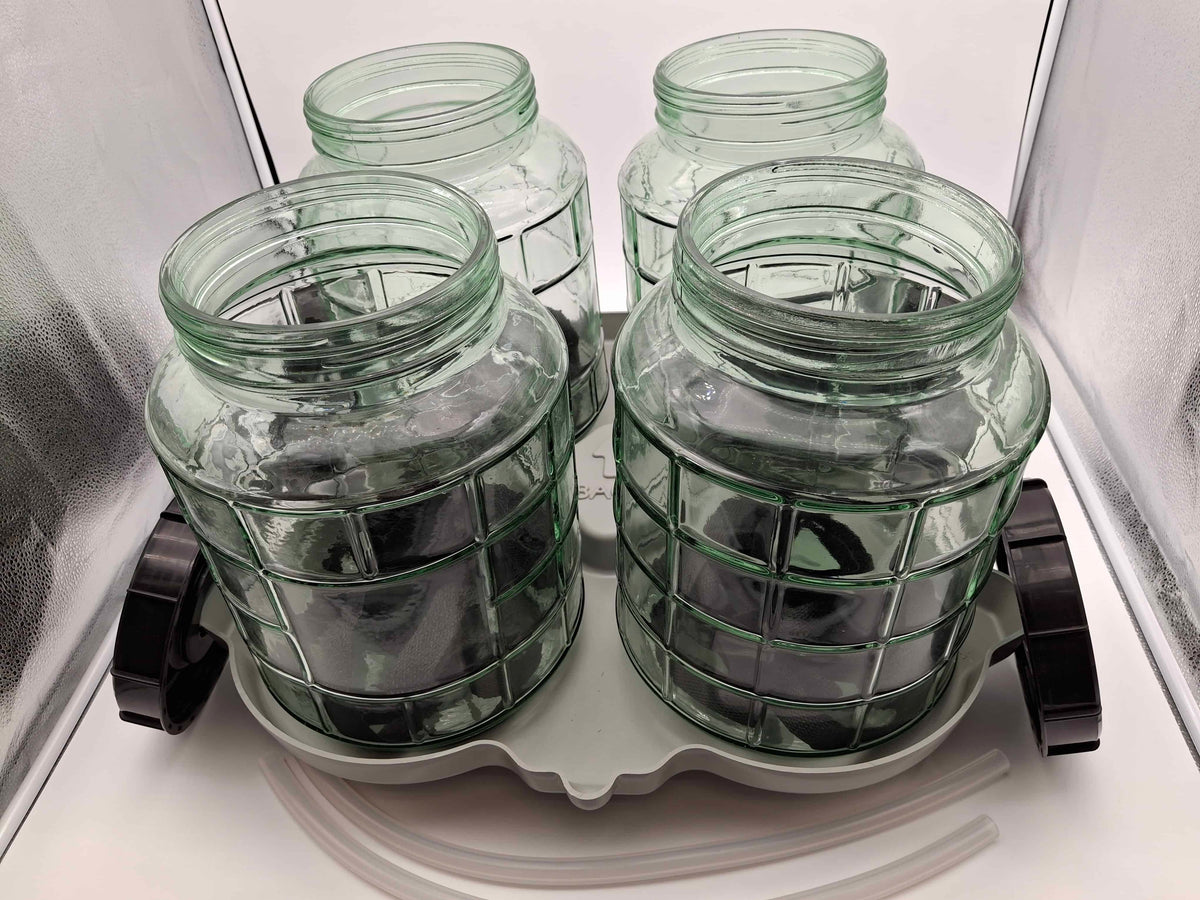 Four clear ribbed glass jars with black screw-on lids arranged on a white plastic tray inside a reflective light box.