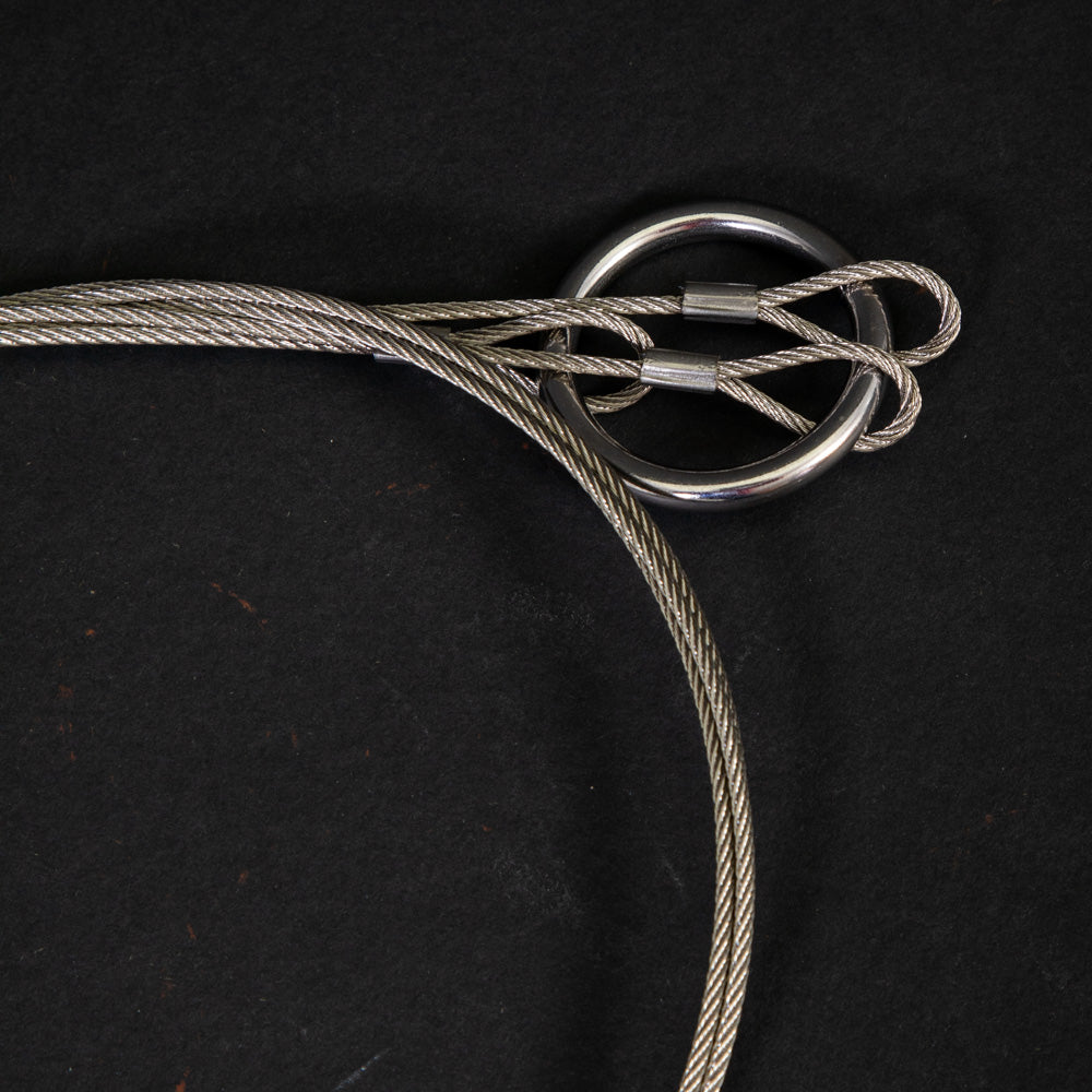 Stainless steel harness with clips